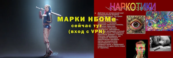 PSILOCYBIN Алзамай